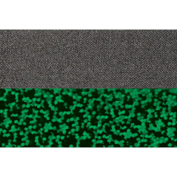 schwarz-gr-un-glitzer-600 Hoop 90 schwarz lila-glitzer Tape